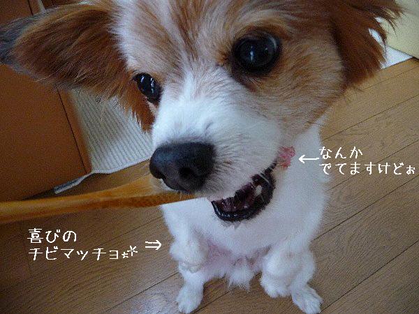 画像 057.pana.21.jpg