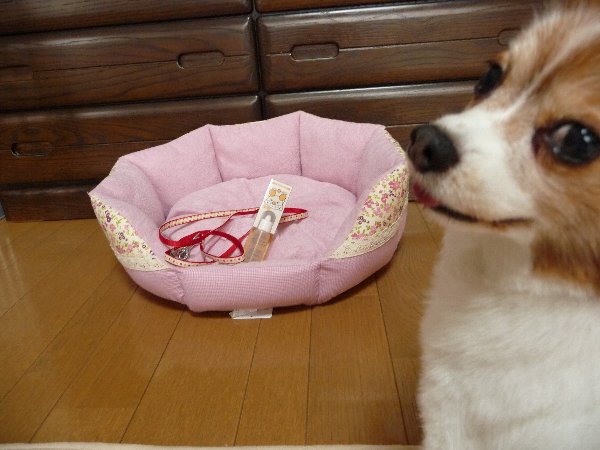 画像 058.pana13.jpg