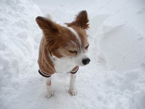 画像 058.pana18.jpg