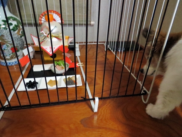 画像 059.ca4.jpg