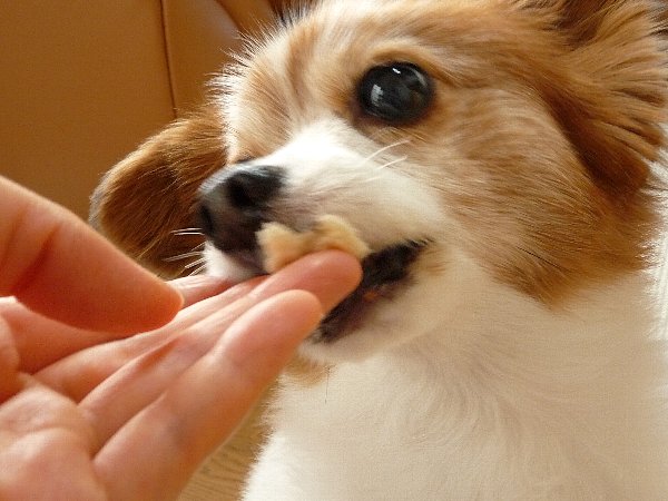 画像 059.pana.22.jpg
