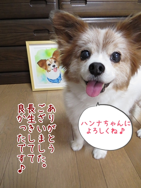 画像 060.ca10.jpg