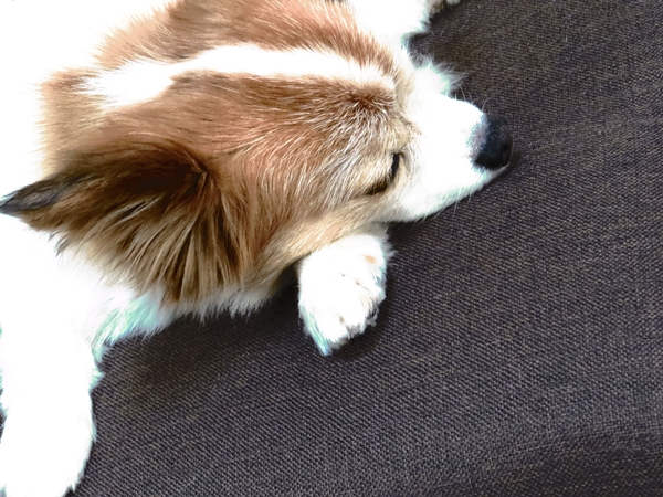 画像 060.ca3.jpg