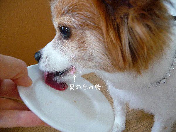 画像 060.pana.21.jpg