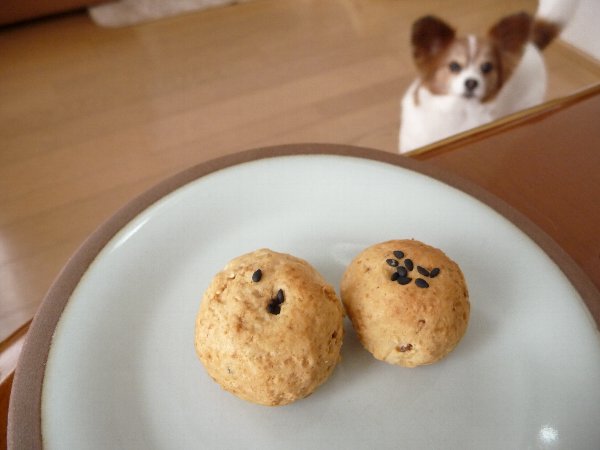 画像 060.pana11.jpg