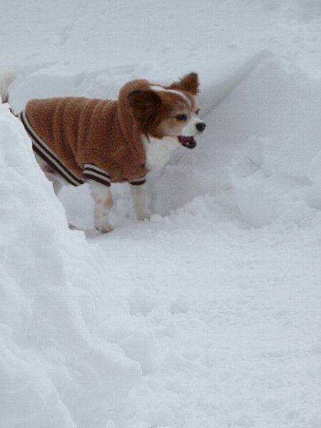 画像 060.pana18.jpg