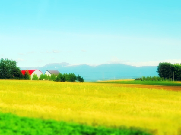 画像 061.biei.jpg