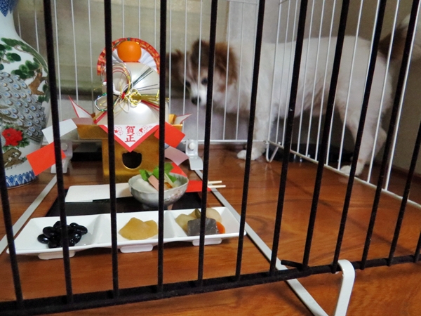 画像 061.ca4.jpg