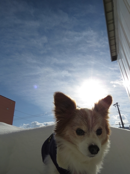 画像 061.ca7.jpg