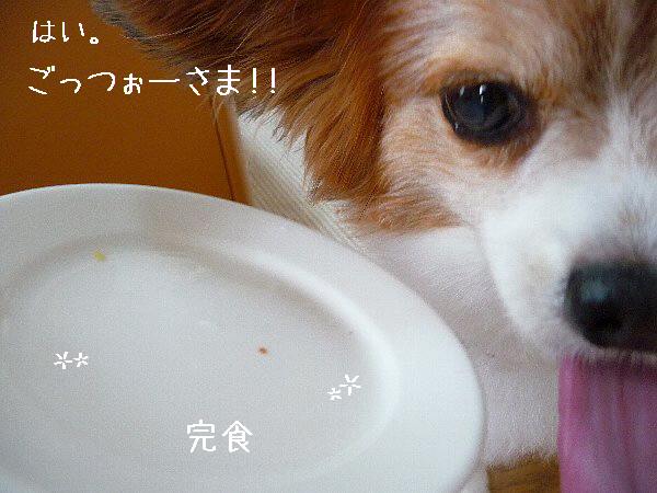 画像 061.pana.21.jpg