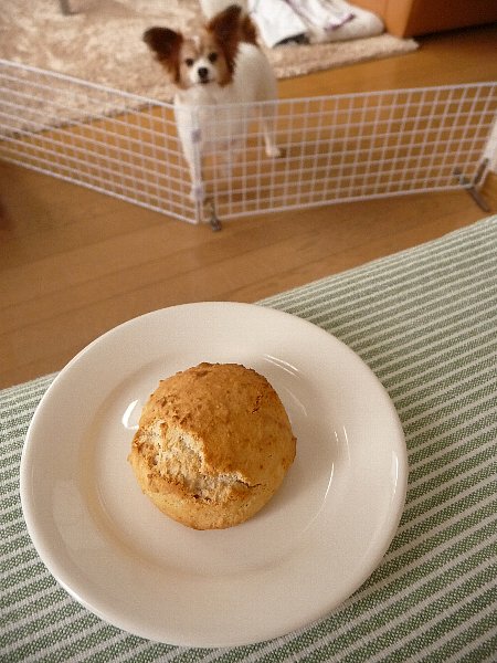 画像 061.pana19.jpg