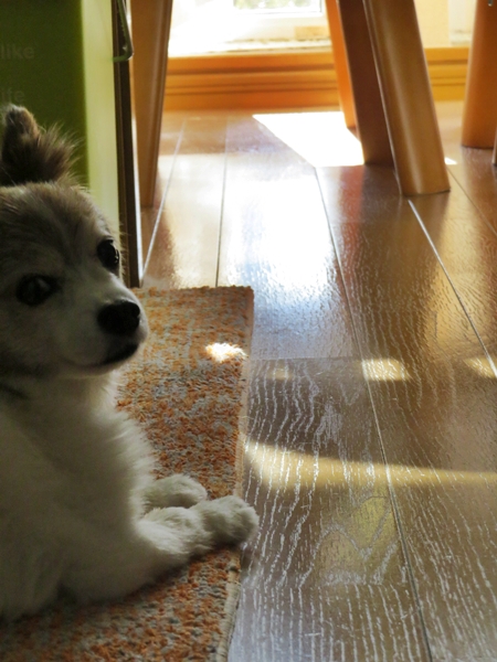 画像 062.ca11.jpg