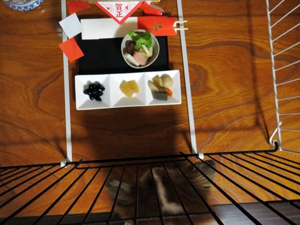 画像 062.ca4.jpg