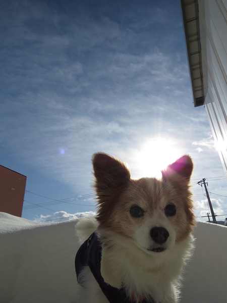 画像 062.ca7.jpg