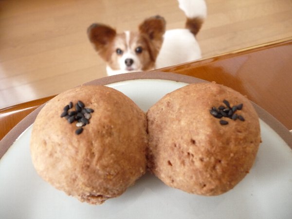 画像 063.pana11.jpg