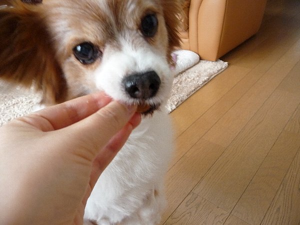 画像 063.pana19.jpg