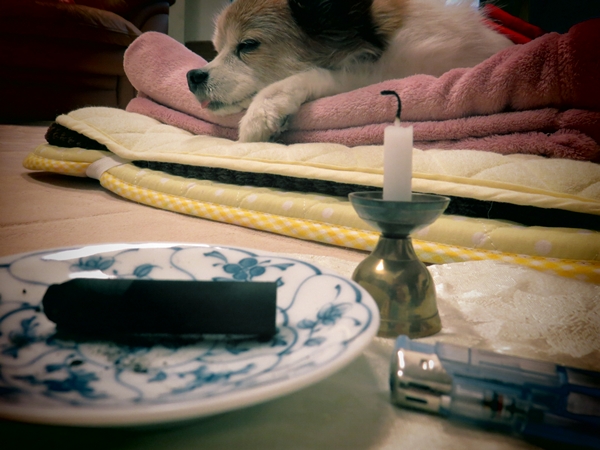 画像 066.ca11.jpg