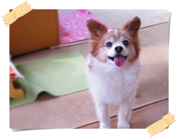画像 066.ca12.jpg