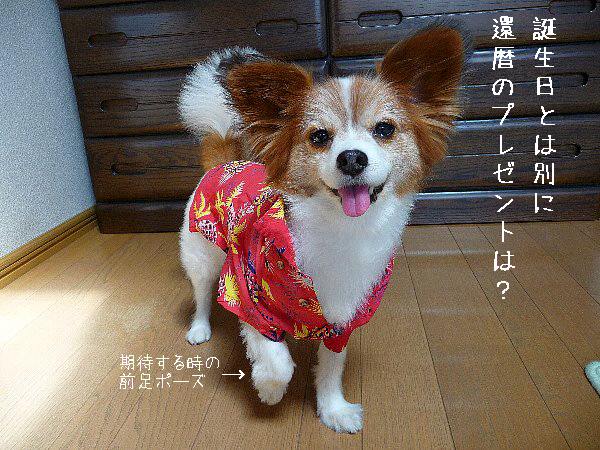 画像 066.pana.21.jpg