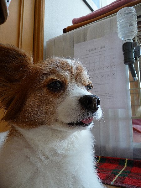 画像 066.pana24.jpg
