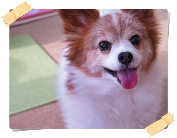 画像 067.ca12.jpg