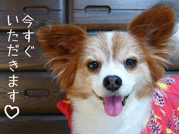 画像 067.pana.21.jpg