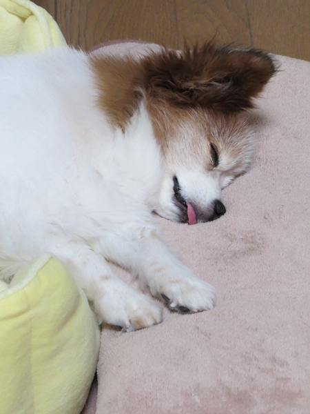 画像 068.ca6.jpg