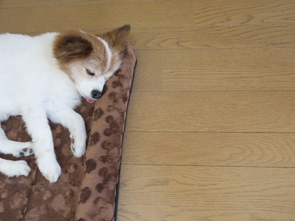 画像 069.ca9.jpg