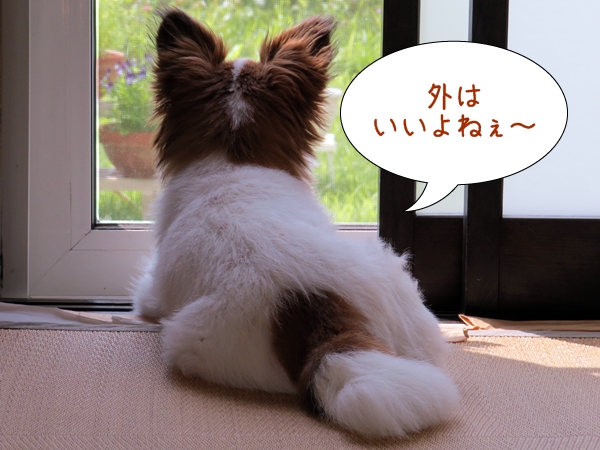 画像 070.cake.jpg