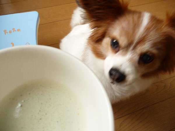 画像 070.pana12.jpg