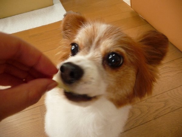画像 070.pana13.jpg