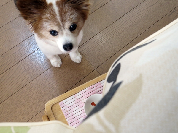画像 071.ca9.jpg