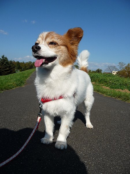画像 071.pana.23.jpg