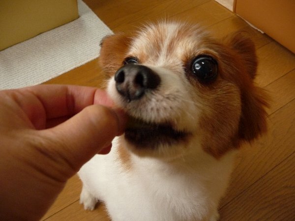 画像 071.pana13.jpg