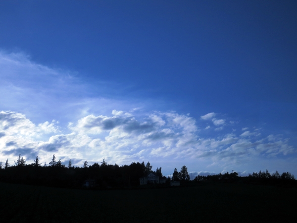 画像 072.biei.jpg