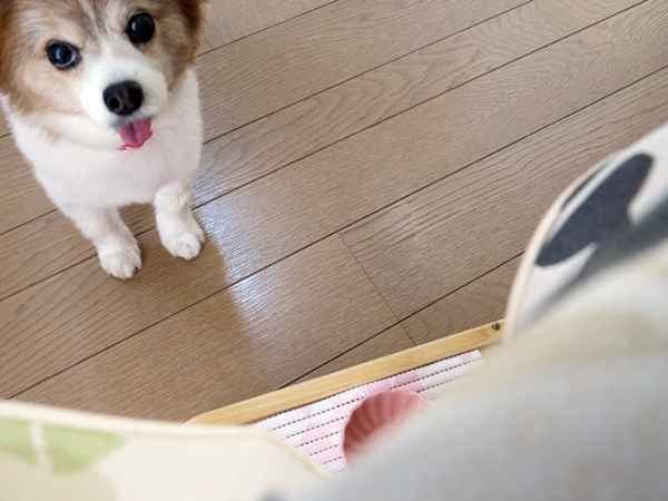 画像 072.ca9.jpg