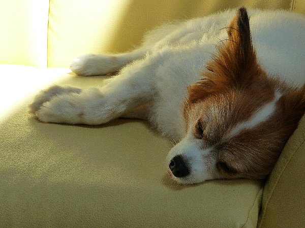 画像 072.pana.21.jpg