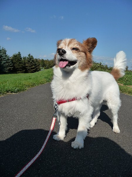 画像 072.pana.23.jpg
