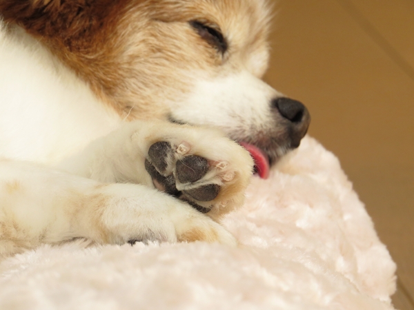 画像 073.ca8.jpg