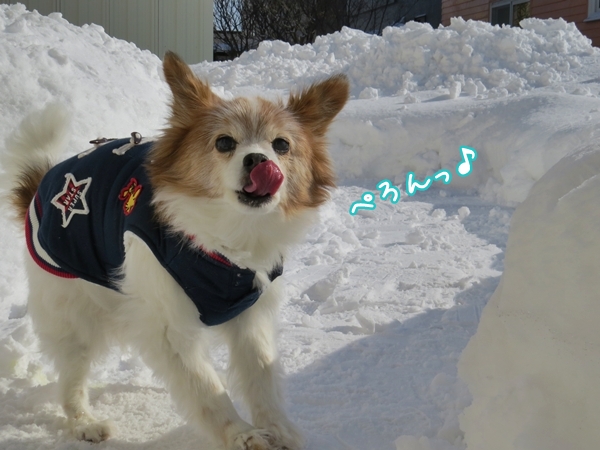 画像 074.ca12.jpg