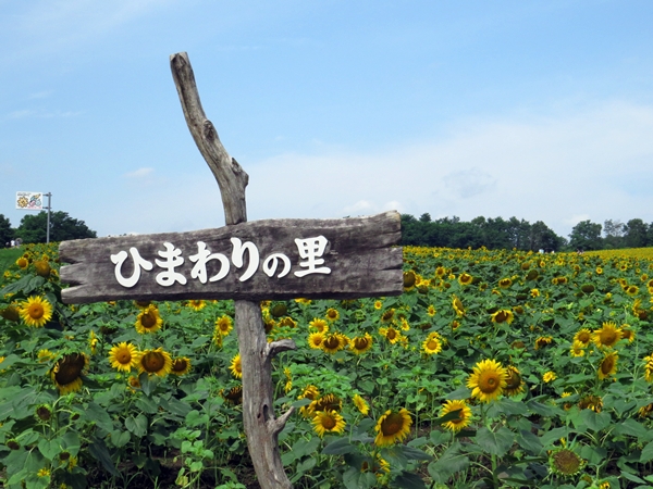 画像 077.hoku.jpg
