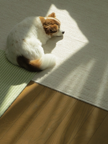 画像 078.ca6.jpg