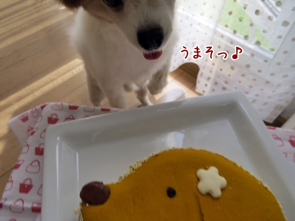 画像 078.cake.jpg