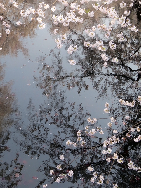 画像 078.sakutabi.jpg