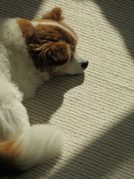 画像 079.ca6.jpg