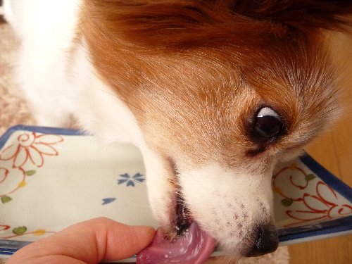 画像 080.pana16.jpg