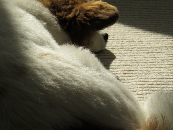 画像 081.ca6.jpg