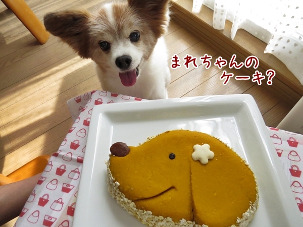 画像 081.cake.jpg