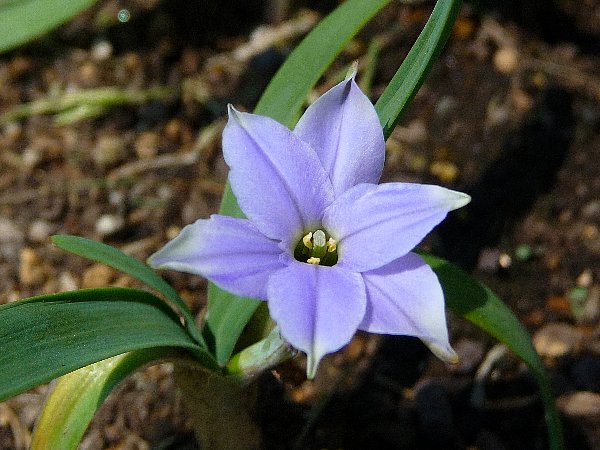 画像 081.pana26.jpg