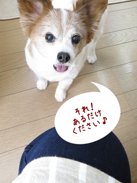 画像 083.ca11.jpg